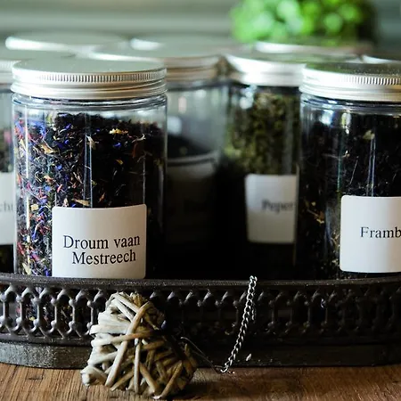 Breusjterhofke Отель типа 